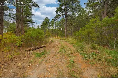 14420 S Perry Park Road, Larkspur, CO 80118 - Photo 3