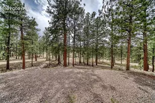 453 Black Fawn Ln, Westcliffe, CO 81252 - Photo 25