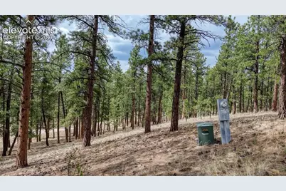453 Black Fawn Lane #1247, Westcliffe, CO 81252 - Photo 27