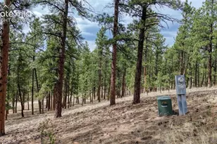 453 Black Fawn Ln, Westcliffe, CO 81252 - Photo 27