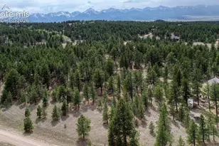 453 Black Fawn Ln, Westcliffe, CO 81252 - Photo 33