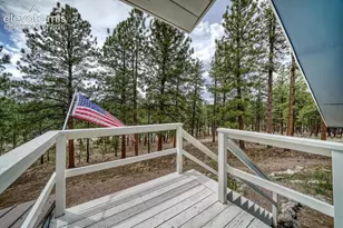 453 Black Fawn Ln, Westcliffe, CO 81252 - Photo 29