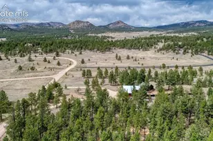 453 Black Fawn Ln, Westcliffe, CO 81252 - Photo 31