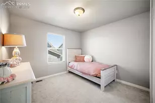 6472 Barr Pt, Colorado Springs, CO 80924 - Photo 21