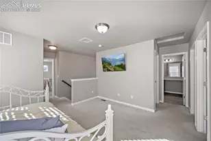 6472 Barr Pt, Colorado Springs, CO 80924 - Photo 15