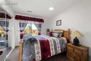 537 Chapparal Trail, Florissant, CO 80816 - Photo 19