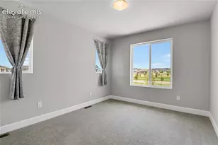 10007 Vervain View, Colorado Springs, CO 80924 - Photo 15