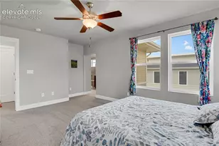 10007 Vervain View, Colorado Springs, CO 80924 - Photo 11