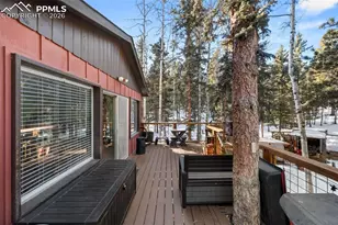 267 Kutsu Ridge Rd, Florissant, CO 80816 - Photo 21