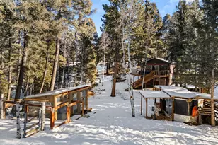 267 Kutsu Ridge Rd, Florissant, CO 80816 - Photo 3