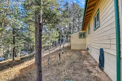 281 Mesa Drive, Florissant, CO 80816 - Photo 15