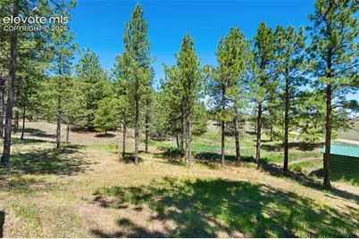 5463 High Park Road, Florissant, CO 80816 - Photo 33