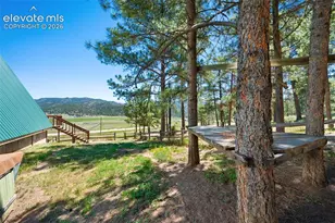 5463 High Park Rd, Florissant, CO 80816 - Photo 31