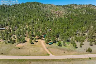 5463 High Park Rd, Florissant, CO 80816 - Photo 41