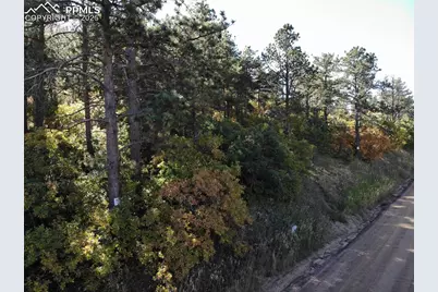 Oakdale Terrace, Palmer Lake, CO 80133 - Photo 5