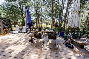 19205 Doewood Dr, Monument, CO 80132 - Photo 29