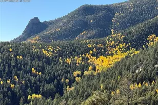 515 Ponderosa Vw, Manitou Springs, CO 80829 - Photo 7