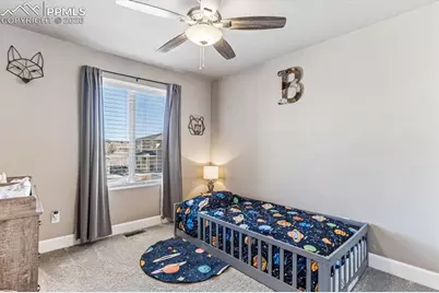 1747 Peak Prairie Lane, Monument, CO 80132 - Photo 17