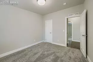 7775 Grizzly Bear Point, Colorado Springs, CO 80922 - Photo 13