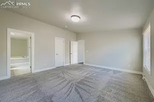 7775 Grizzly Bear Point, Colorado Springs, CO 80922 - Photo 19
