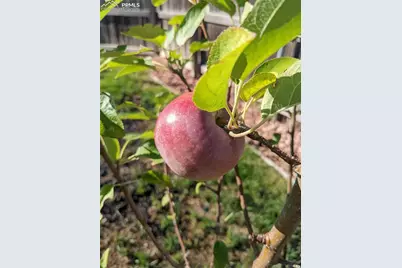 7497 Theresa Drive, Colorado Springs, CO 80925 - Photo 45