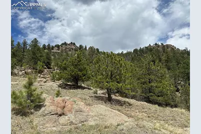 2332 County Road, Florissant, CO 80816 - Photo 5