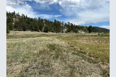 2332 County Road, Florissant, CO 80816 - Photo 13