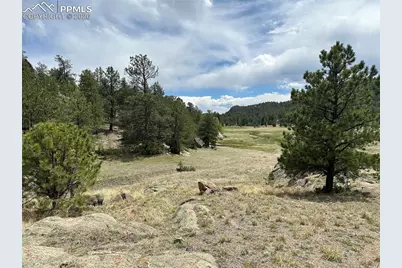 2332 County Road, Florissant, CO 80816 - Photo 7