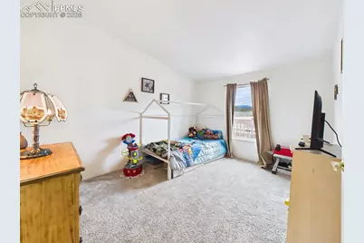 699 Cedar Hills Road, Penrose, CO 81240 - Photo 27