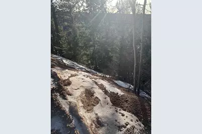 1600 Pikes Peak Drive, Divide, CO 80814 - Photo 3