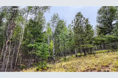 599 Dandy Jim Drive, Cripple Creek, CO 80813 - Photo 19