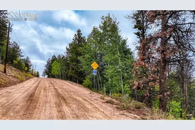 599 Dandy Jim Drive, Cripple Creek, CO 80813 - Photo 13