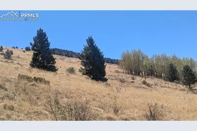 1960 Troy Drive, Cripple Creek, CO 80813 - Photo 1