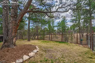 2405 Constellation Dr, Colorado Springs, CO 80906 - Photo 11