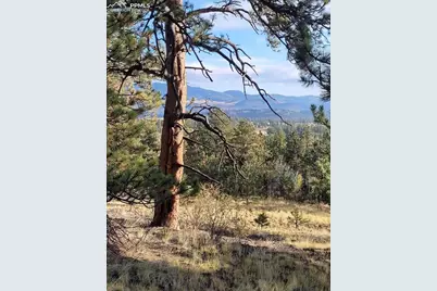 2502 County Road 88, Guffey, CO 80820 - Photo 3