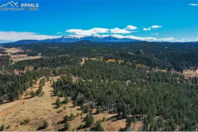 2756 County Road 421, Florissant, CO 80816 - Photo 1