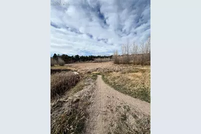 540 Fox Run Circle, Colorado Springs, CO 80921 - Photo 45