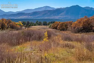 1179 Charismatic Wy, Colorado Springs, CO 80921 - Photo 47