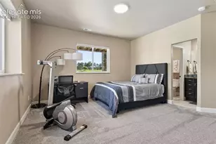 14894 Snowy Pine Point, Colorado Springs, CO 80908 - Photo 41