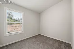 67 Mohawk Cir, Florissant, CO 80816 - Photo 19