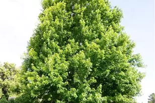 8261 Cooper River Dr, Colorado Springs, CO 80920 - Photo 25