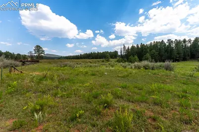 29507 Highway 67, Woodland Park, CO 80863 - Photo 7