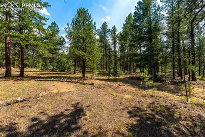 29507 Highway 67, Woodland Park, CO 80863 - Photo 9
