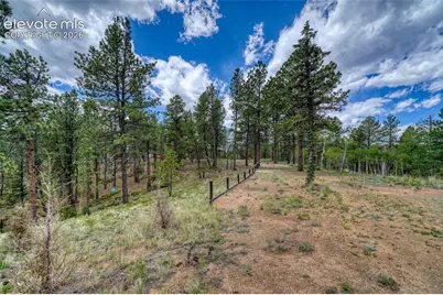 2927 Pathfinder Road, Florissant, CO 80816 - Photo 27