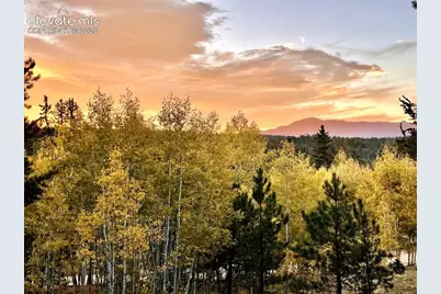 2927 Pathfinder Road, Florissant, CO 80816 - Photo 3