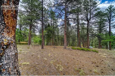 2927 Pathfinder Road, Florissant, CO 80816 - Photo 33