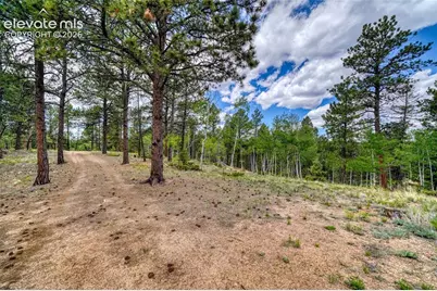 2927 Pathfinder Road, Florissant, CO 80816 - Photo 7