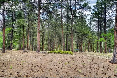2927 Pathfinder Road, Florissant, CO 80816 - Photo 31