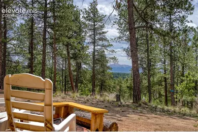 2927 Pathfinder Road, Florissant, CO 80816 - Photo 11