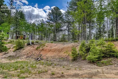 2927 Pathfinder Road, Florissant, CO 80816 - Photo 29